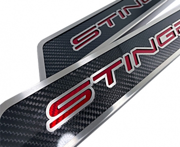 2020-2022 C8 Corvette  - STINGRAY Style Replacement Door Sill Inserts 2Pc | Carbon Fiber/Stainless, Choose Color